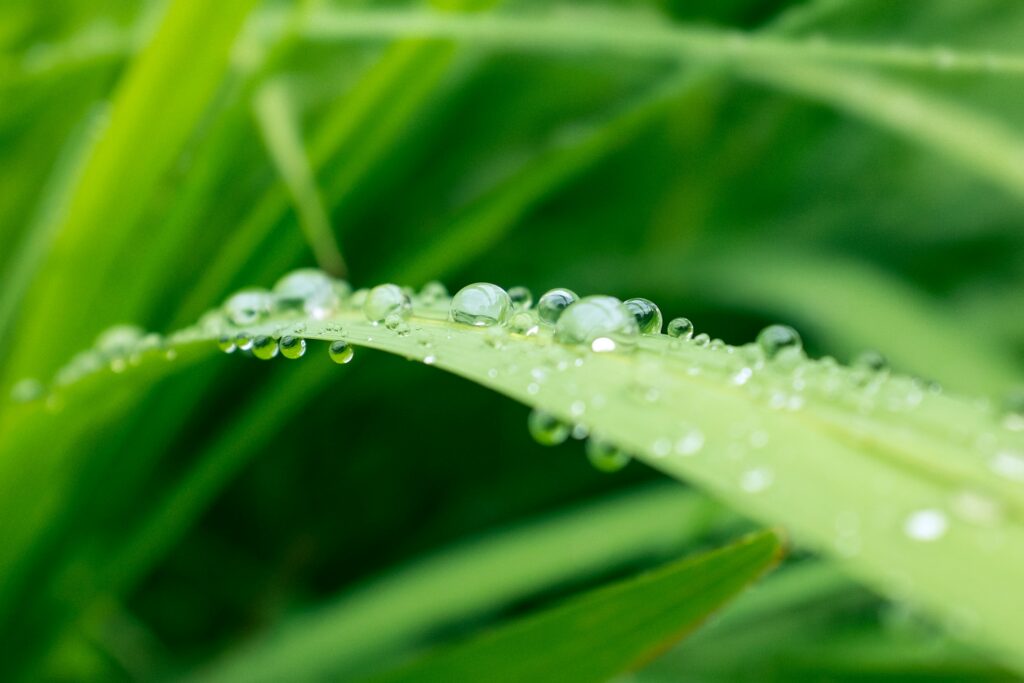 what is humidity weather explained