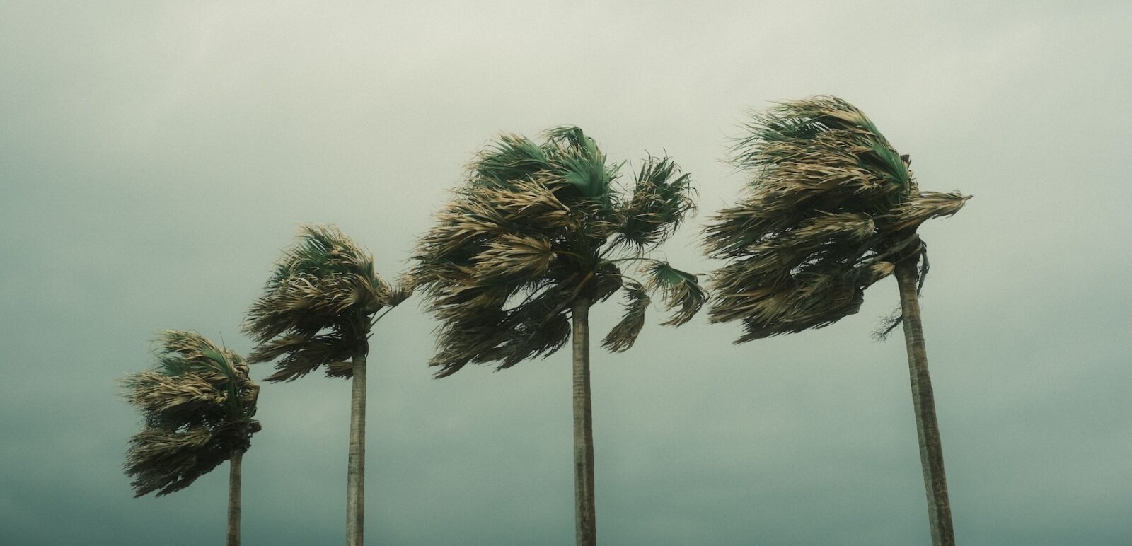 wind speed strong gusts stormy weather