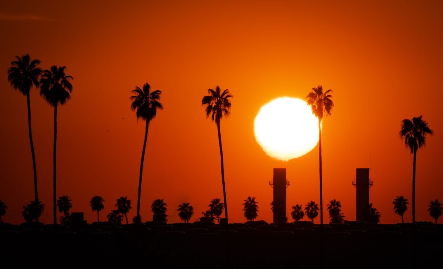 A large blazing sun setting behind palm trees in a deep orange sky during a heatwave