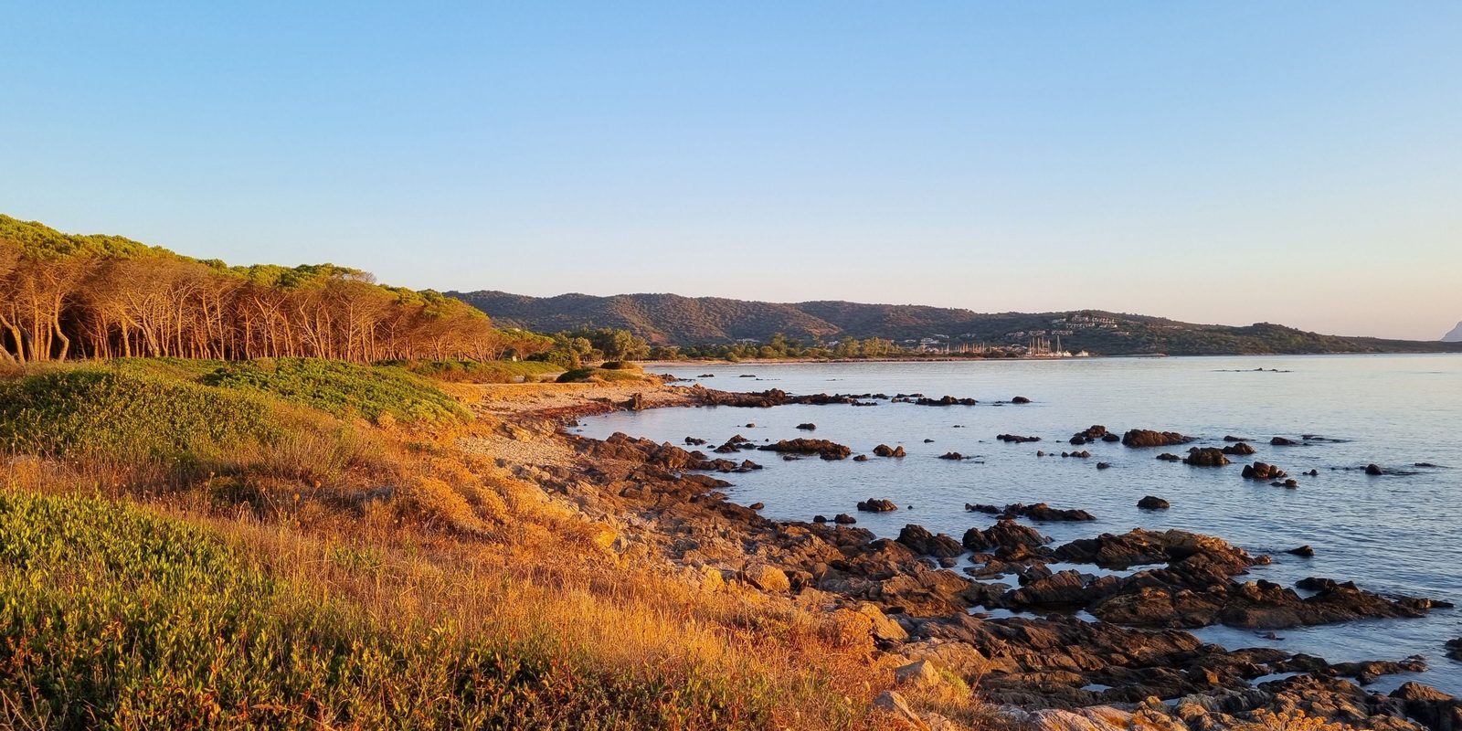 Empty Mediterranean coastline at golden hour in autumn, with pine woods and calm sea