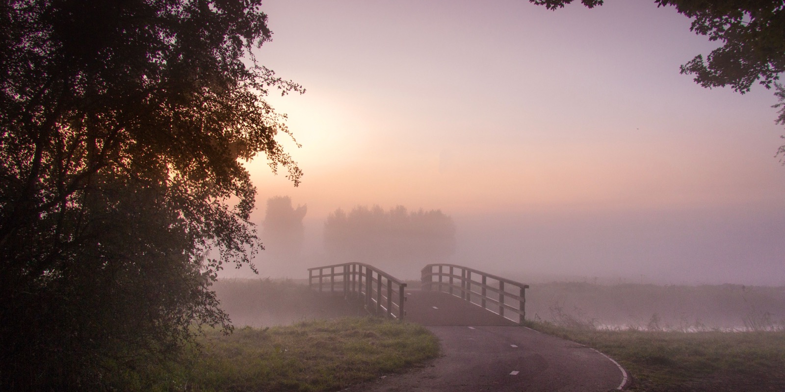 A misty morning fog over a curved bridge at sunrise, illustrating dew point conditions