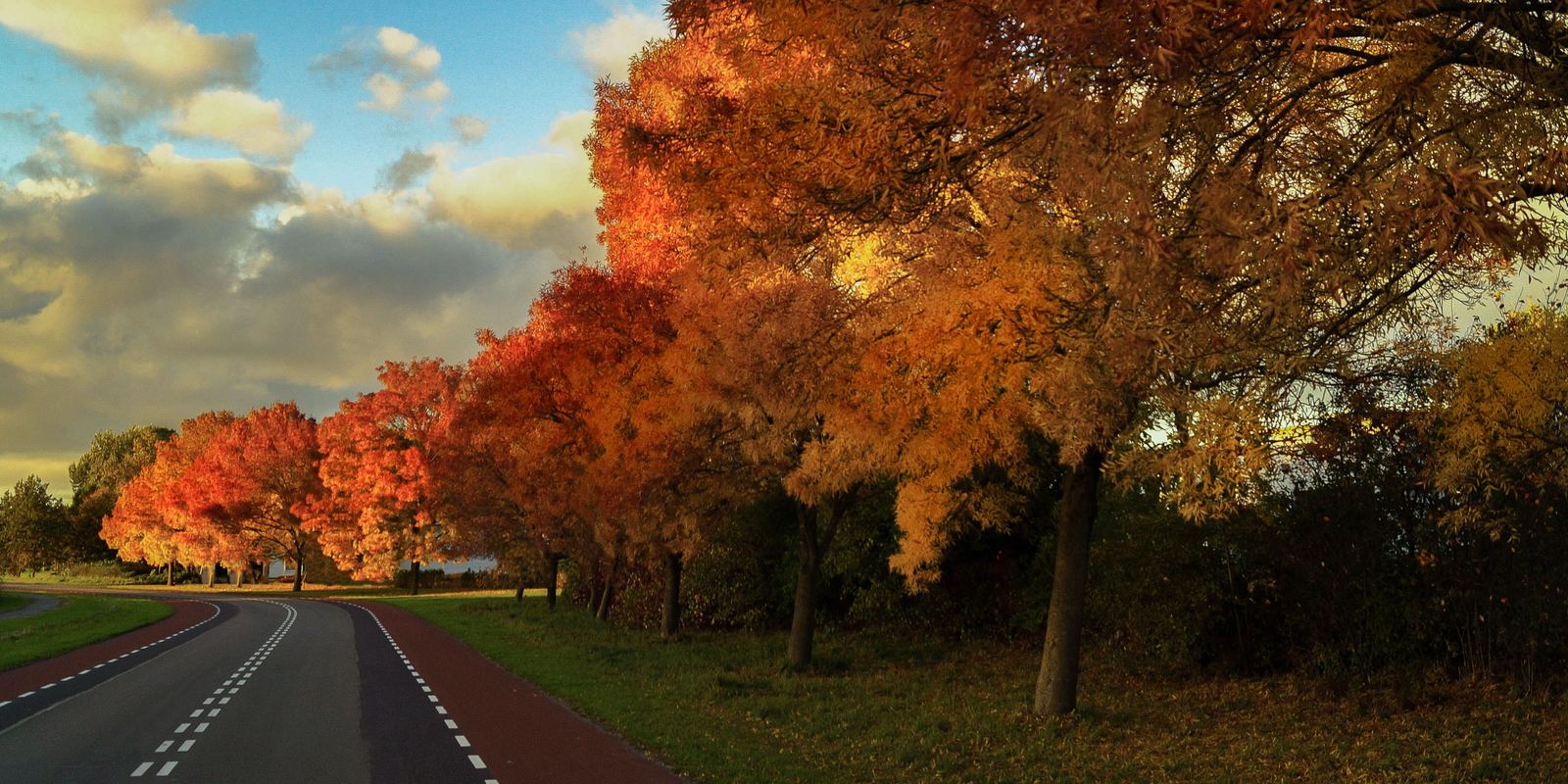 A road curving past golden and red autumn trees under a cloud-dotted blue sky at sunset