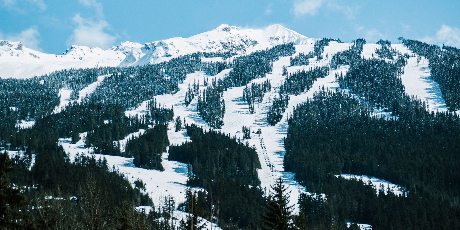 Snow-covered Whistler mountain with ski runs and forested slopes under a blue sky